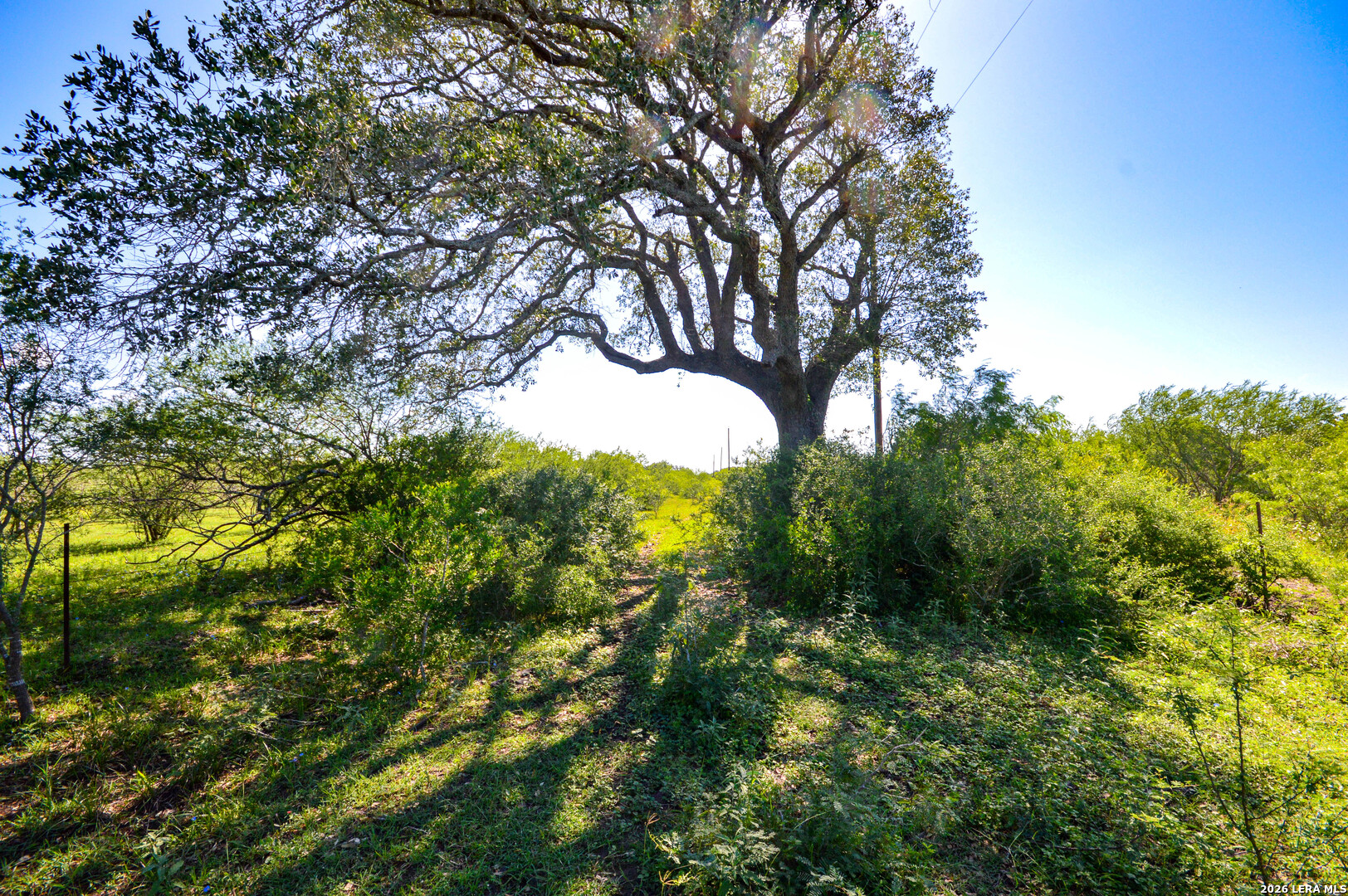 0 Cr 628 Sinton TX 78387