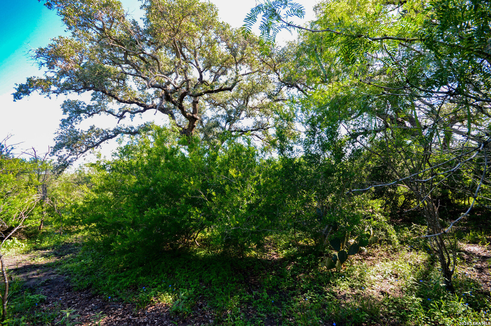 0 Cr 628 Sinton TX 78387