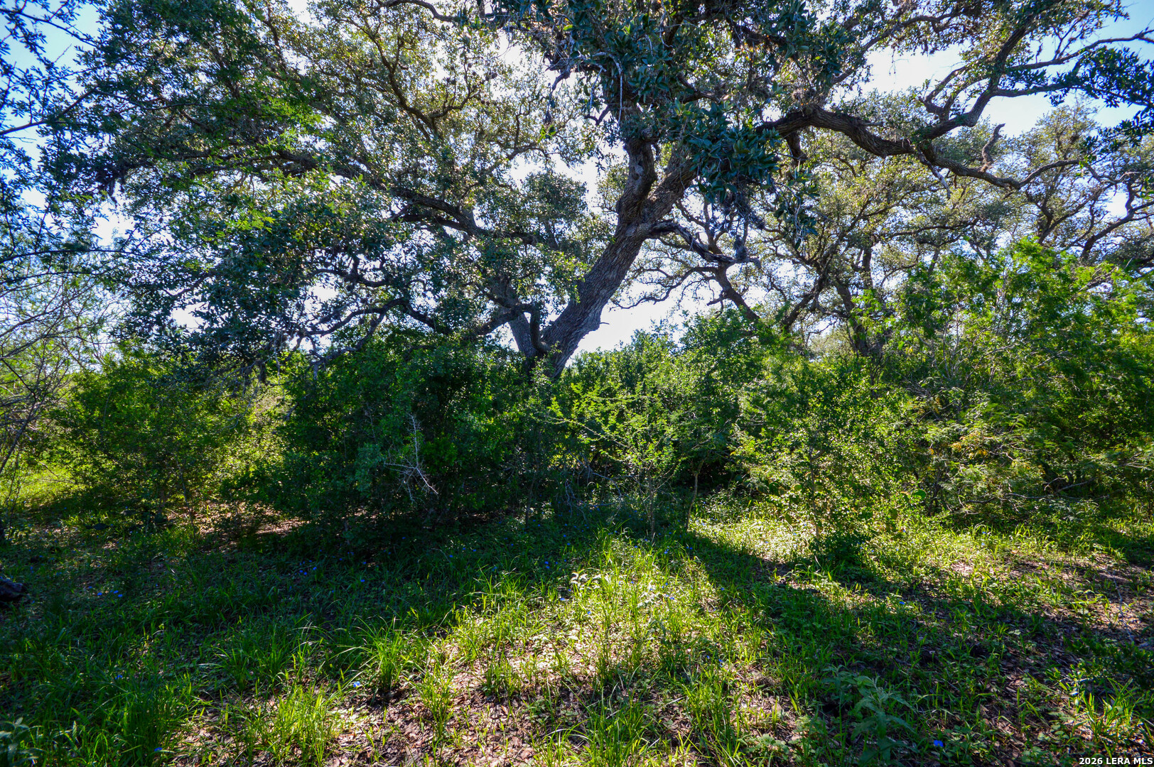 0 Cr 628 Sinton TX 78387