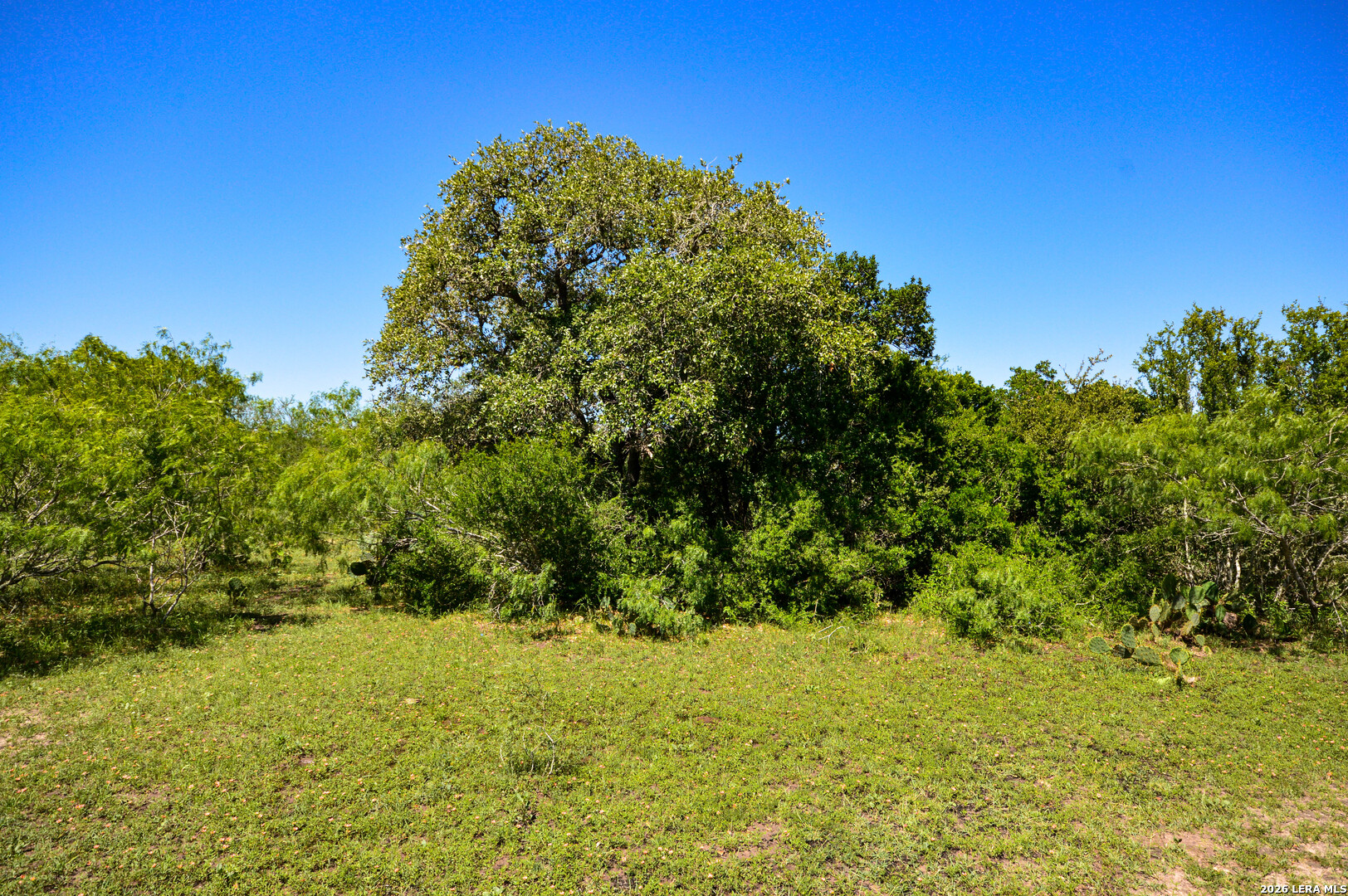 0 Cr 628 Sinton TX 78387