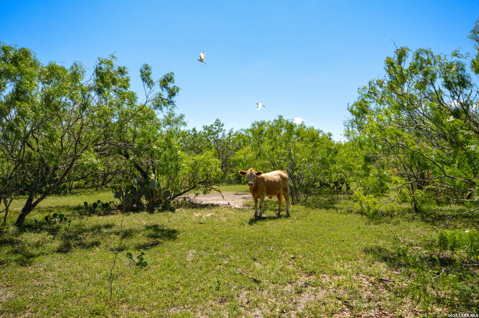 0 Cr 628 Sinton TX 78387