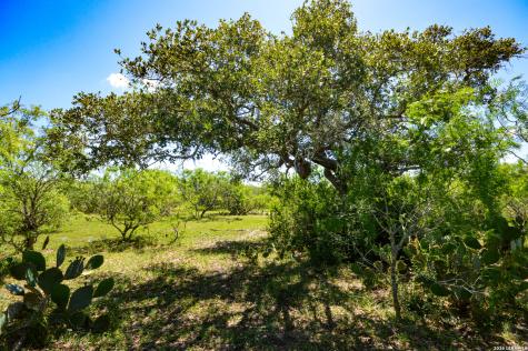 0 Cr 628 Sinton TX 78387