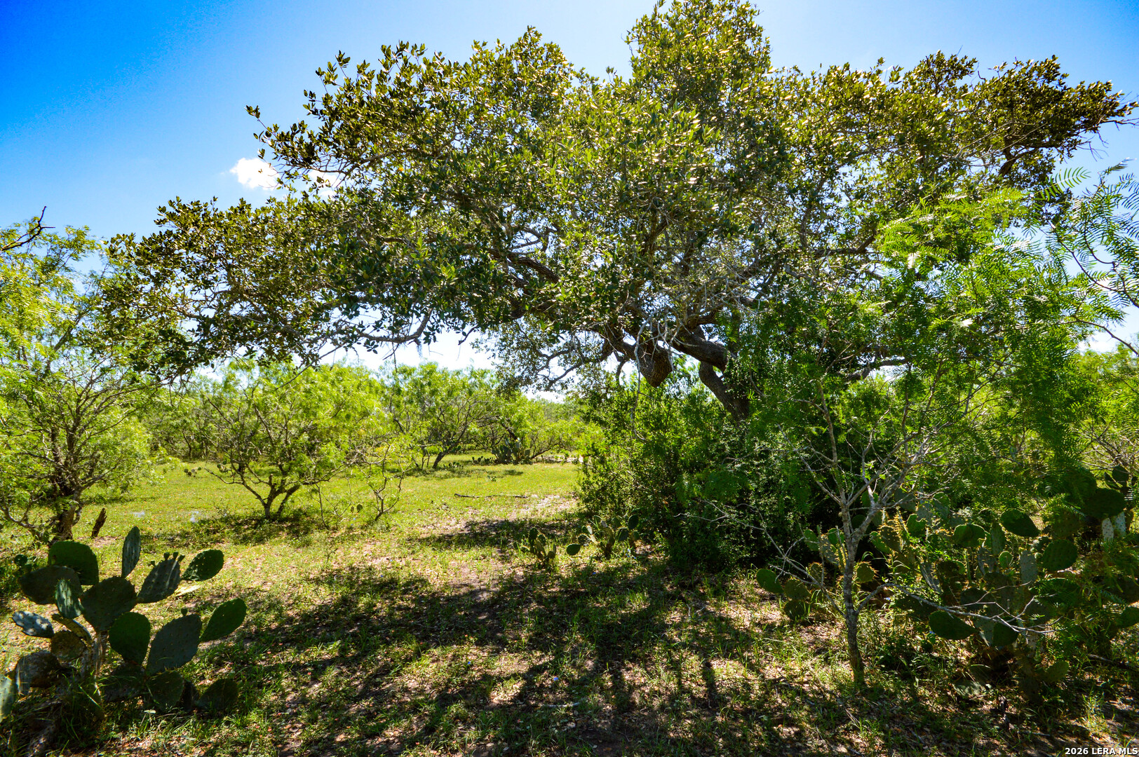 0 Cr 628 Sinton TX 78387