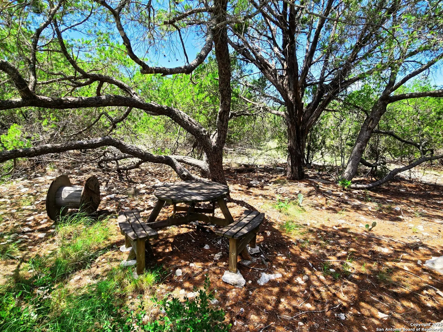 2033 Sd # 45670 Rocksprings TX 78880