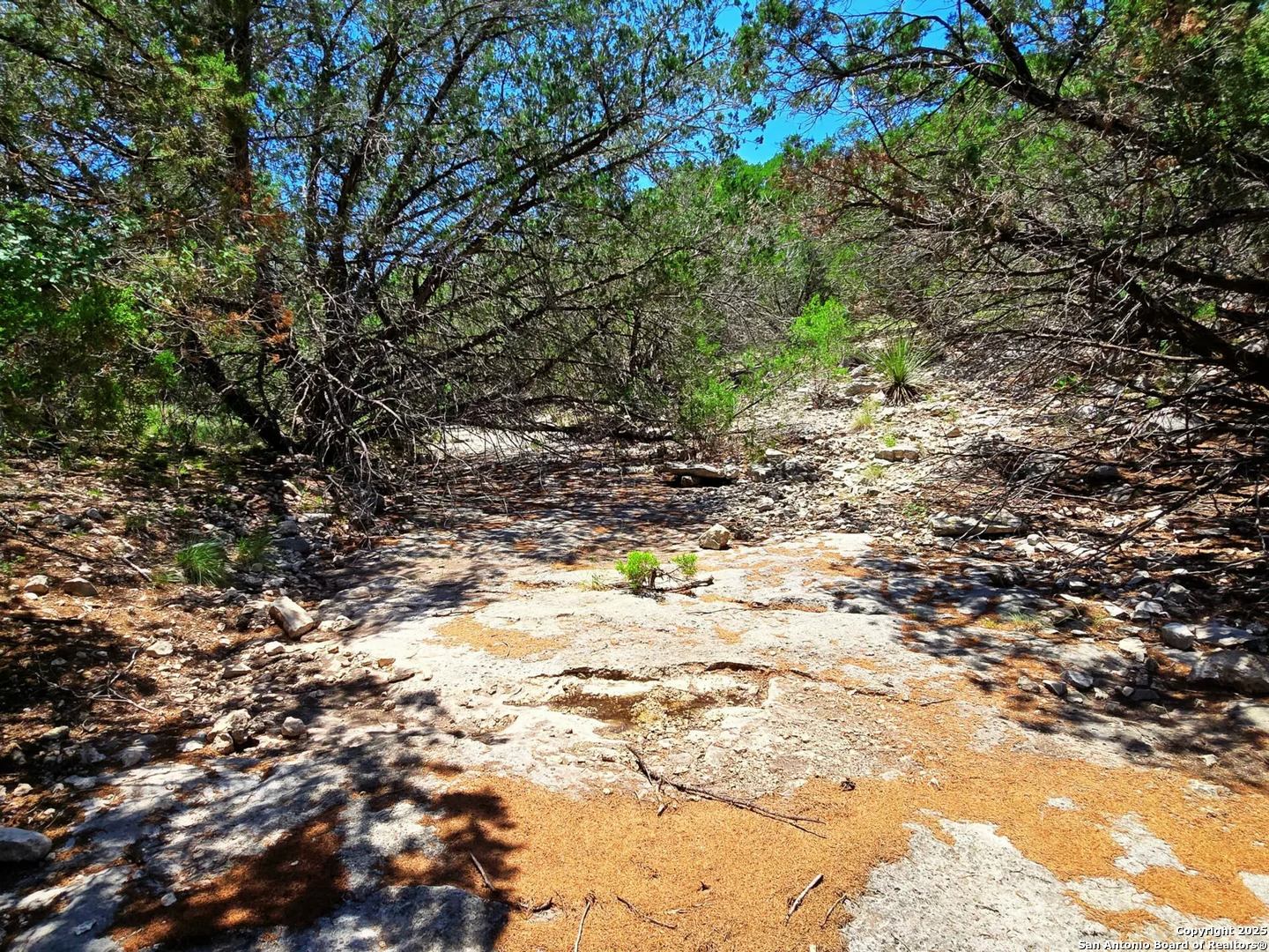 2033 Sd # 45670 Rocksprings TX 78880