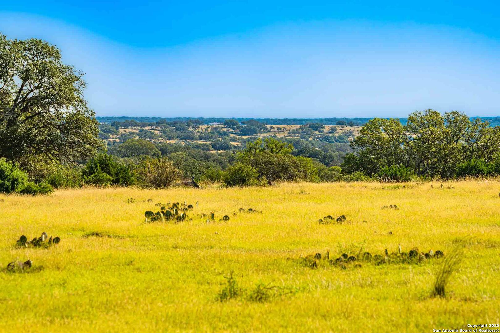8300 Scr 314 Sonora TX 76950