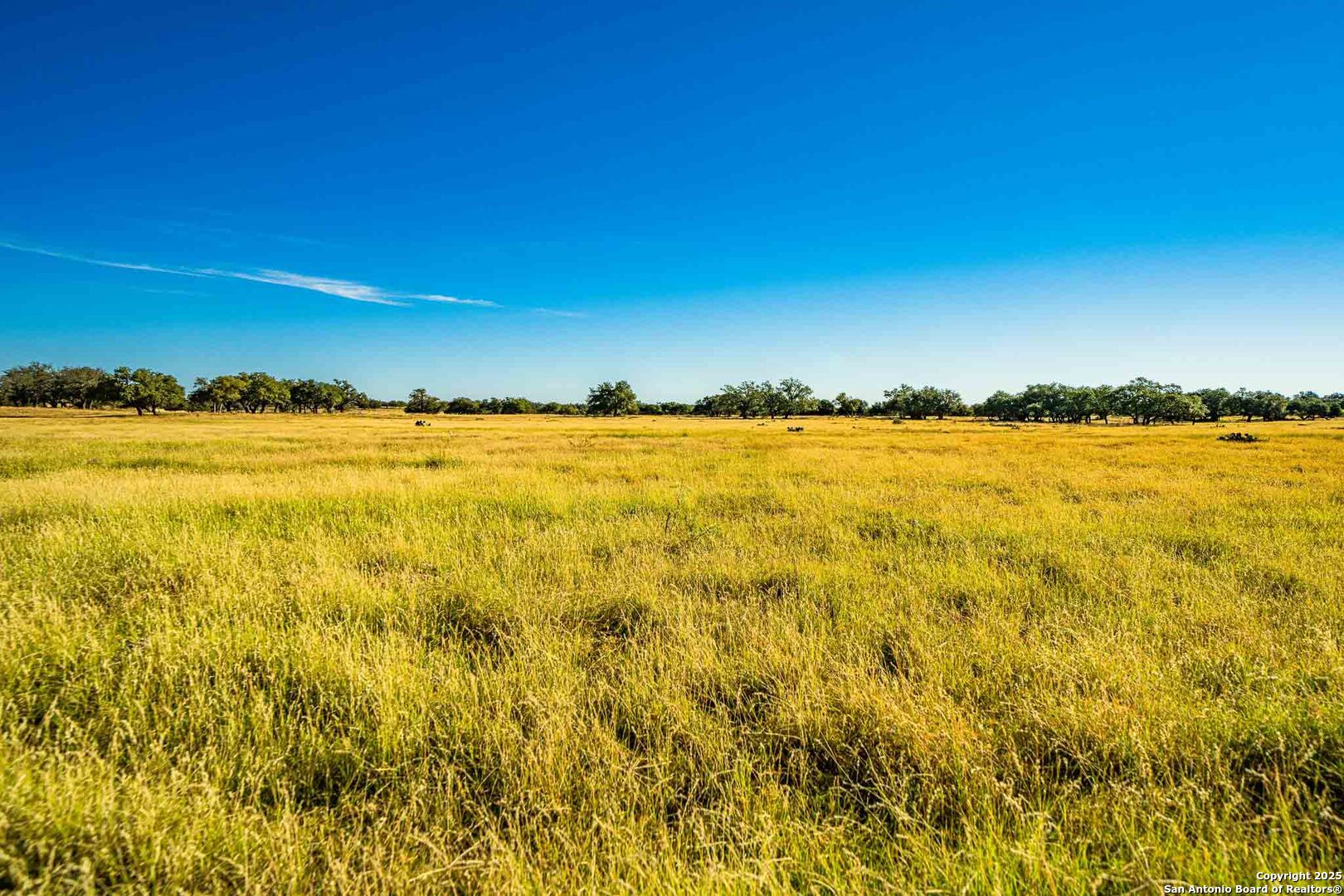 8300 Scr 314 Sonora TX 76950