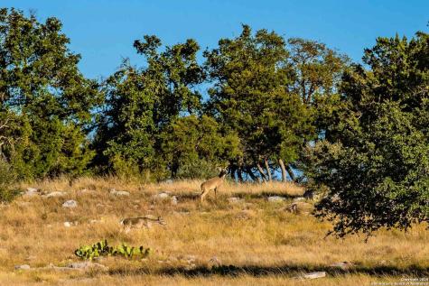 8300 Scr 314 Sonora TX 76950