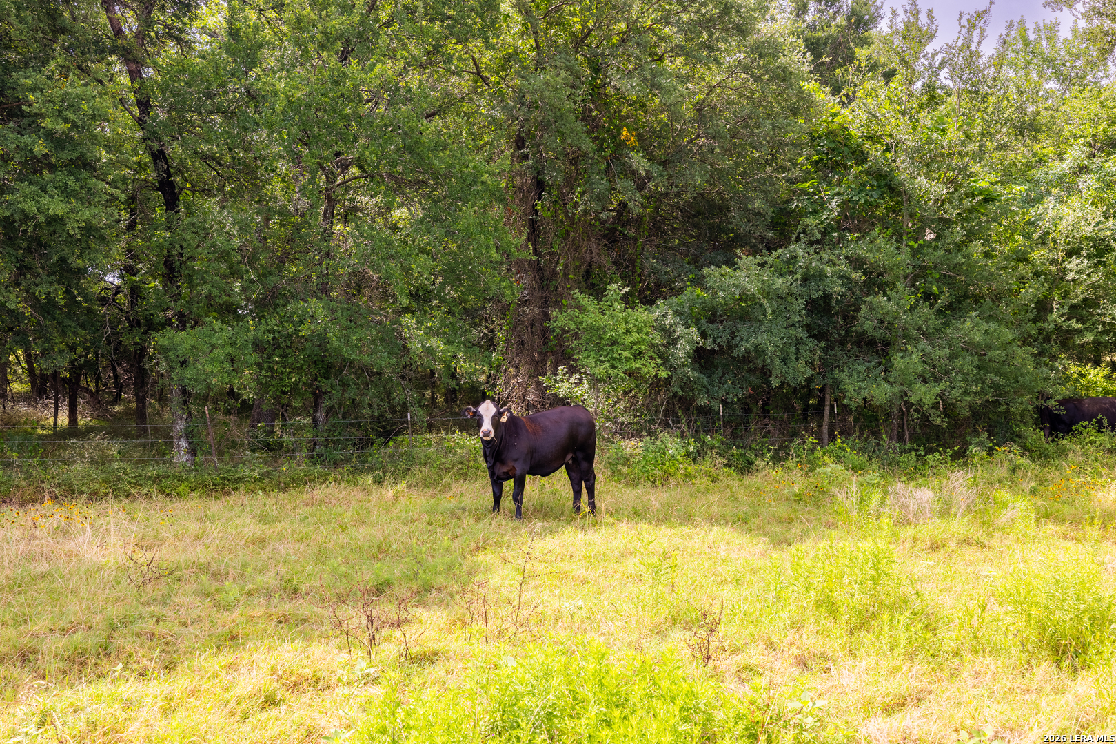 408 E Fm 739 Corsicana TX 75110
