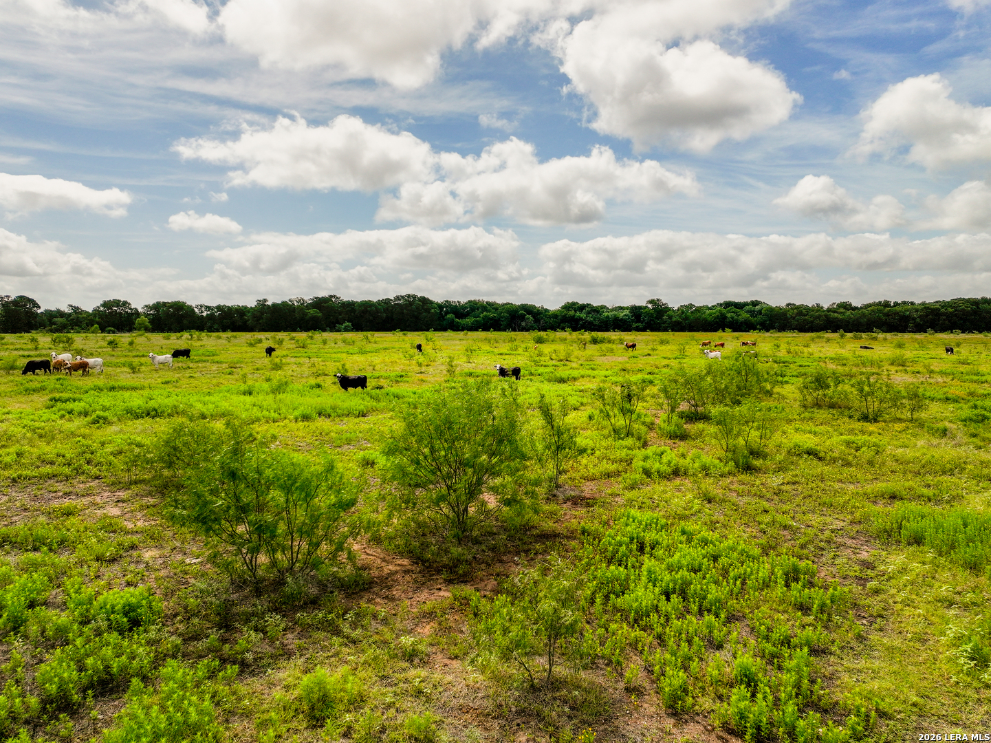 408 E Fm 739 Corsicana TX 75110