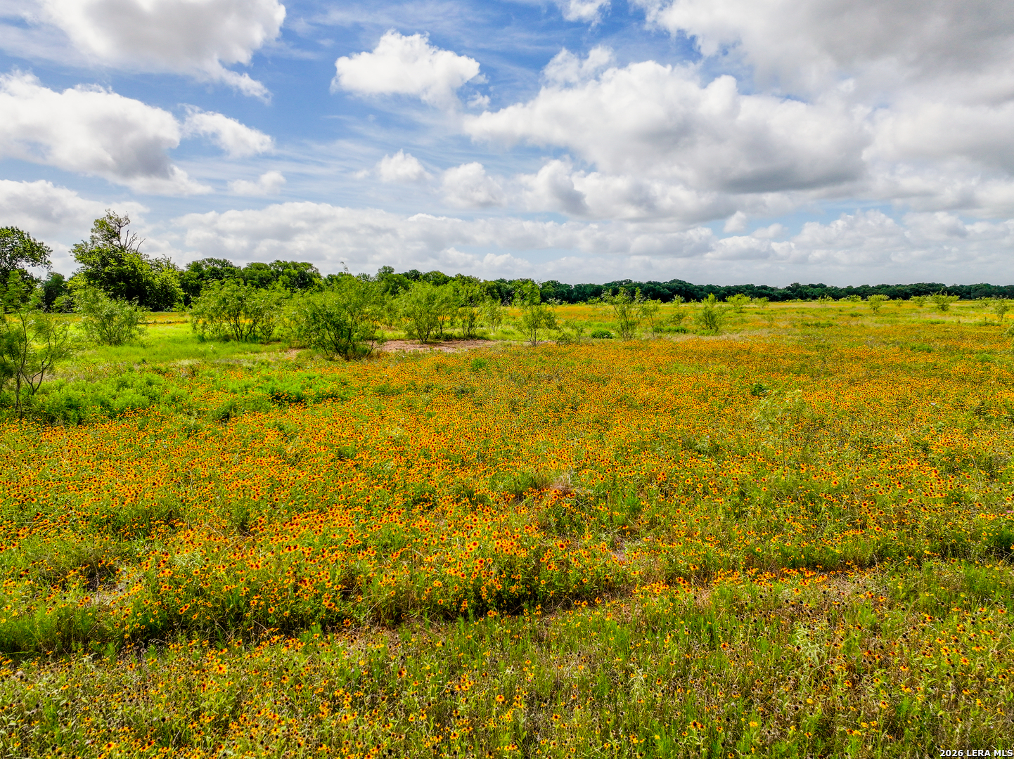 408 E Fm 739 Corsicana TX 75110