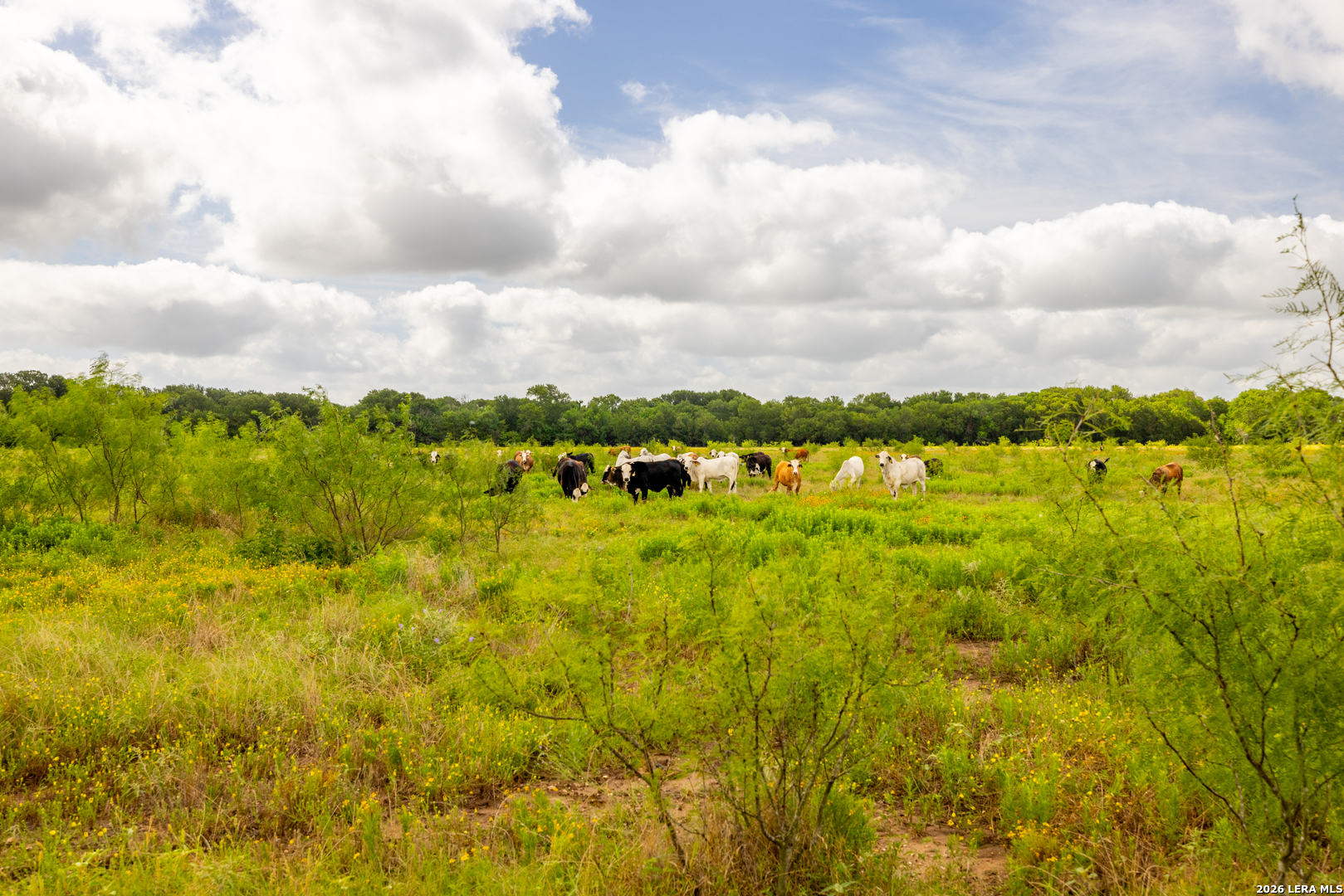 408 E Fm 739 Corsicana TX 75110