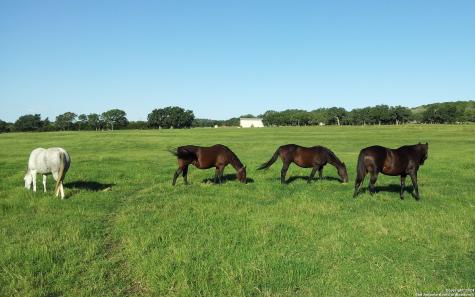 132 Pfeiffer Road Boerne TX 78006