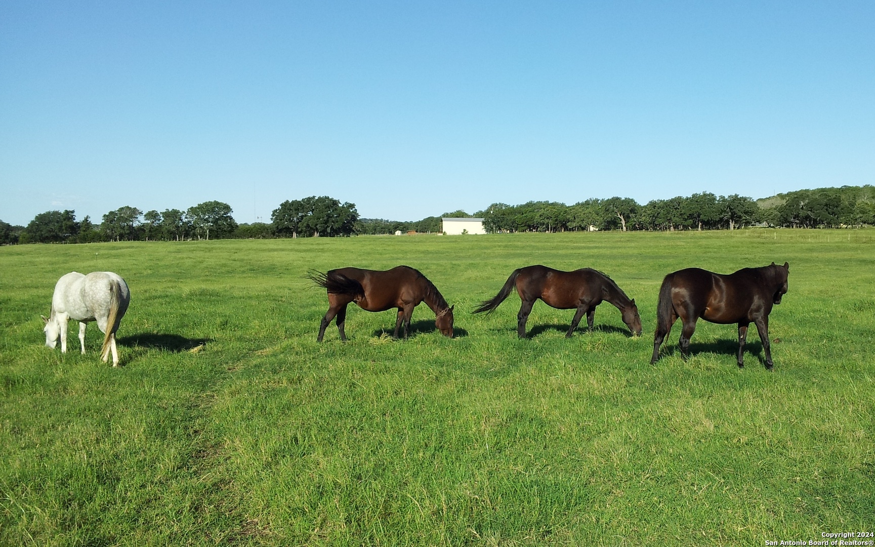 132 Pfeiffer Road Boerne TX 78006
