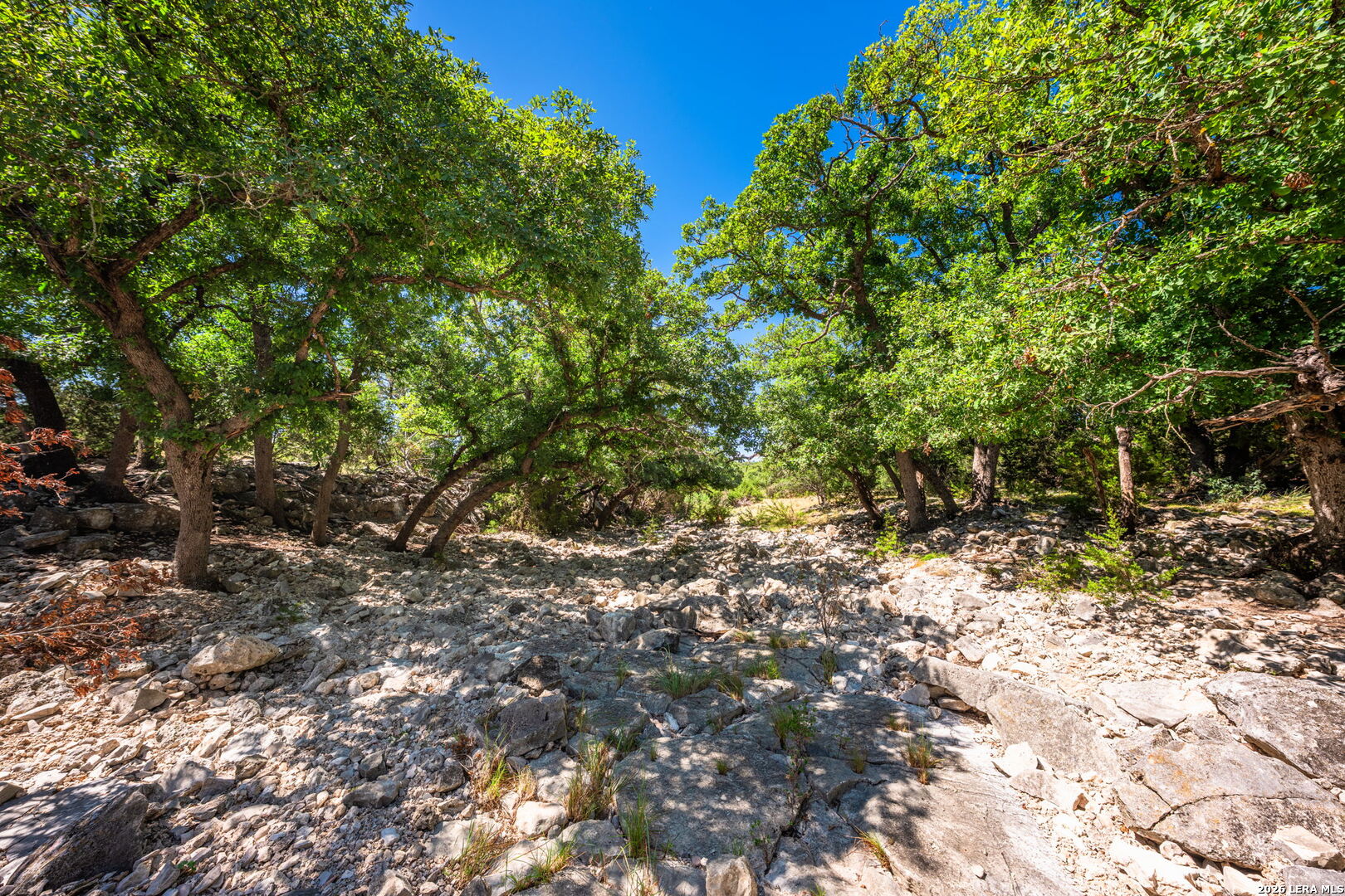 1989 Dominion Road Rocksprings TX 78880