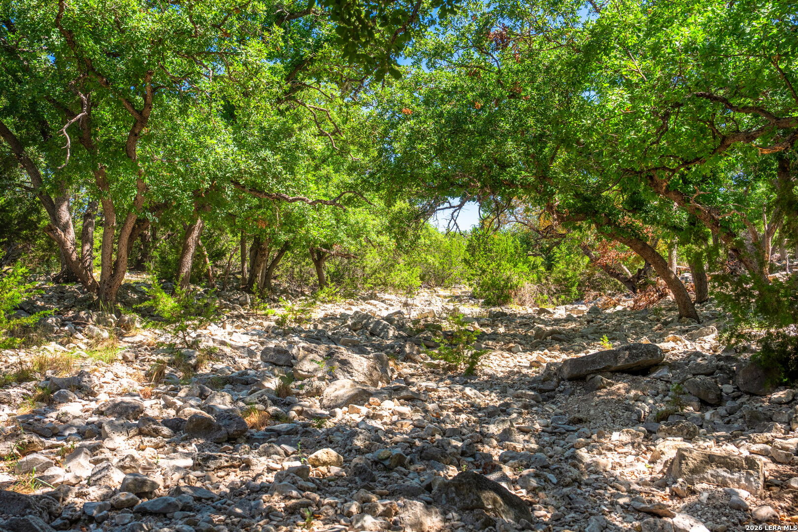 1989 Dominion Road Rocksprings TX 78880