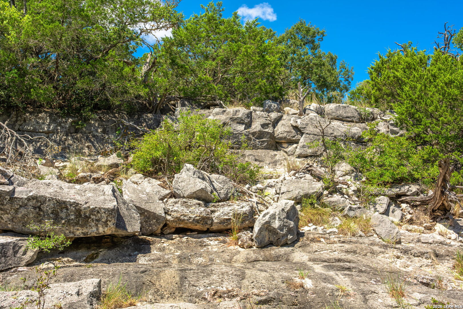 1989 Dominion Road Rocksprings TX 78880
