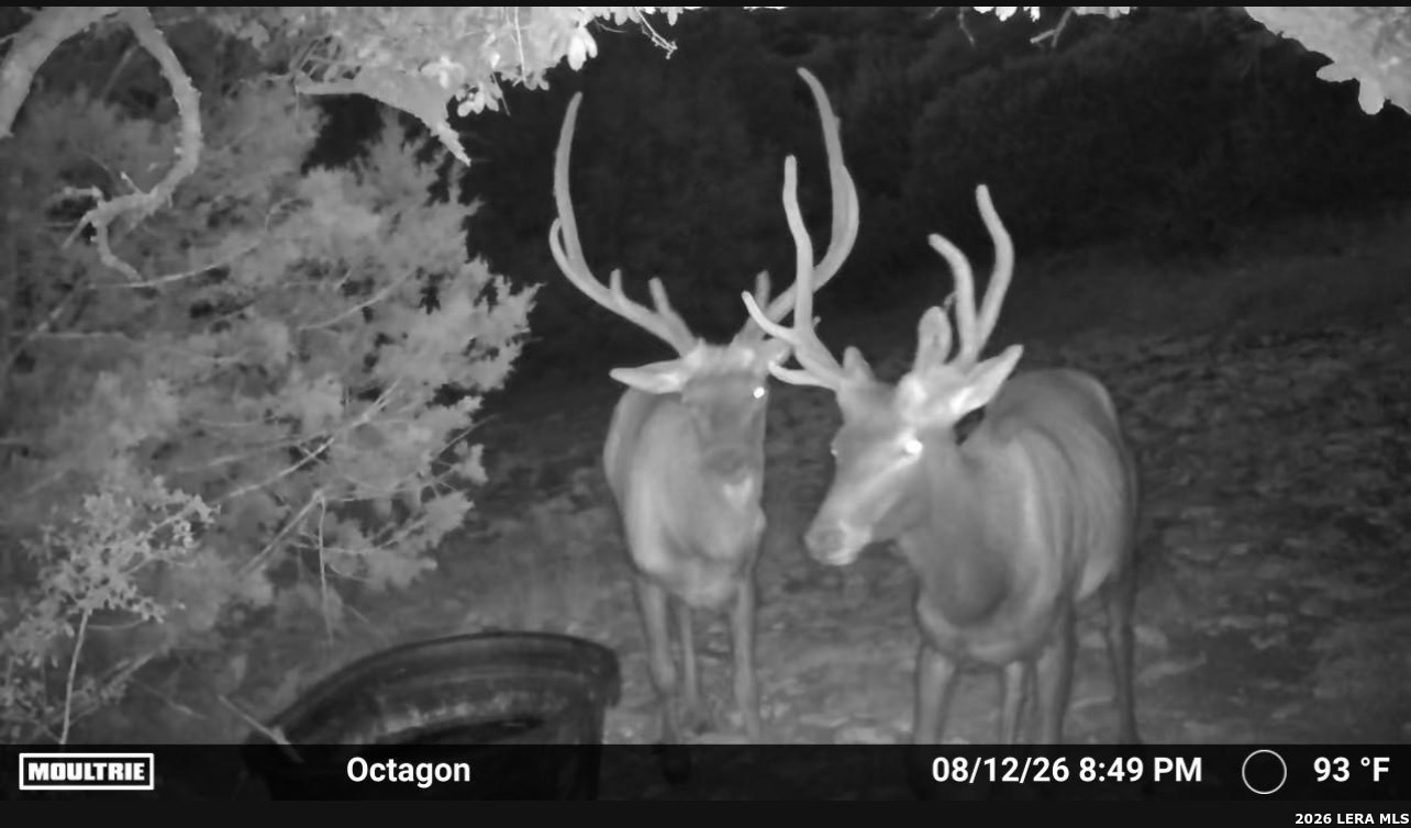 1989 Dominion Road Rocksprings TX 78880