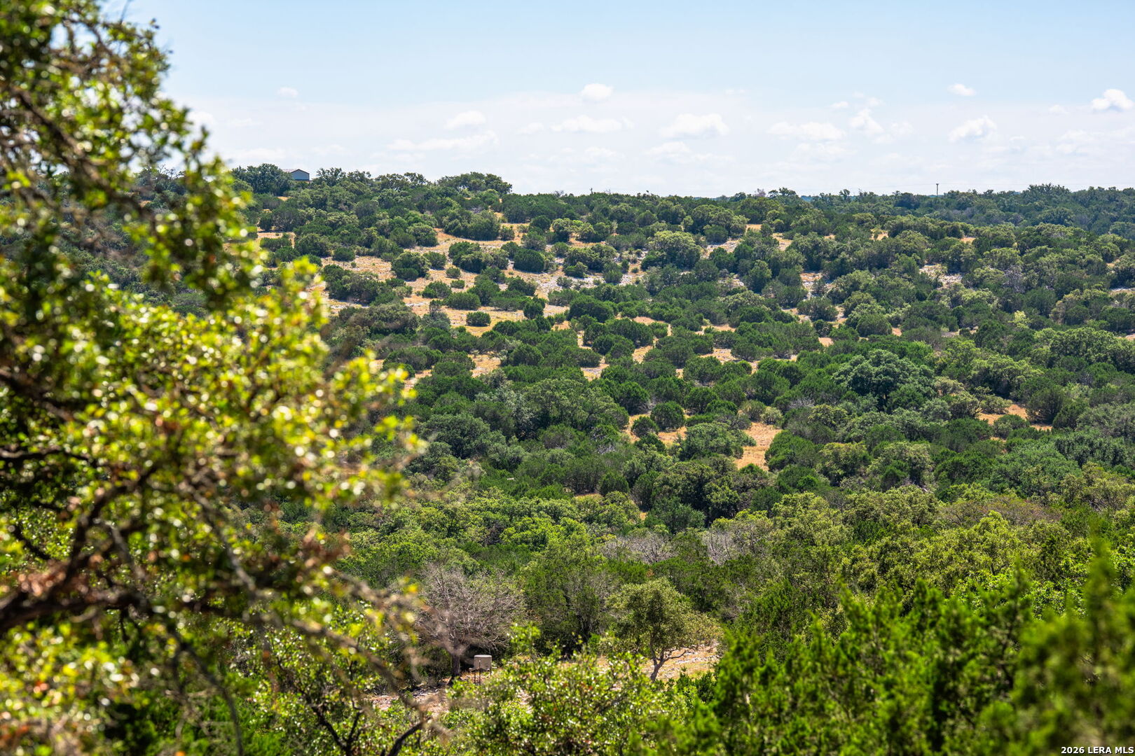 1989 Dominion Road Rocksprings TX 78880