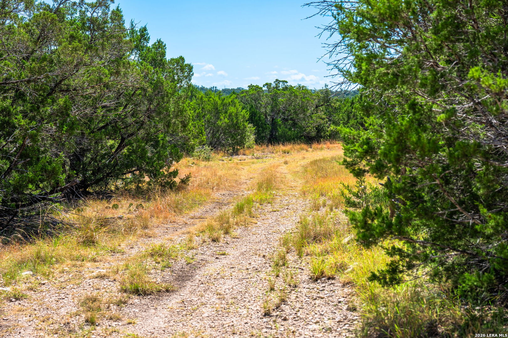 1989 Dominion Road Rocksprings TX 78880