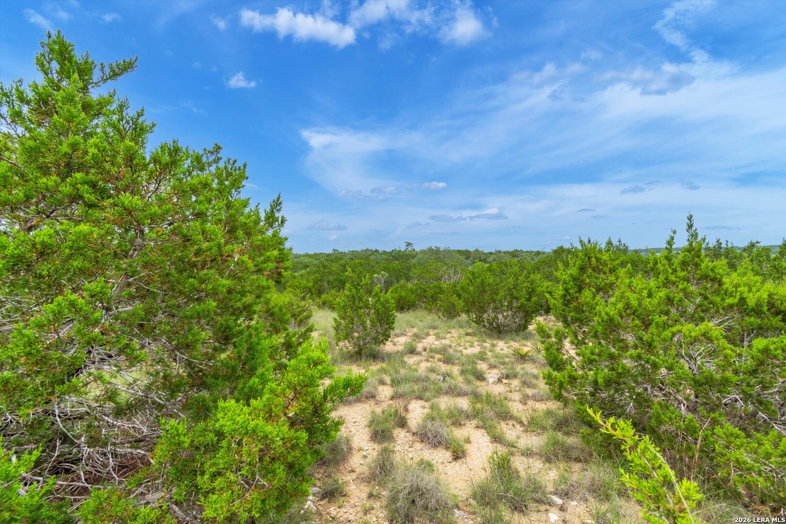 Lot 124 Legacy Hills Drive Johnson City TX 78636