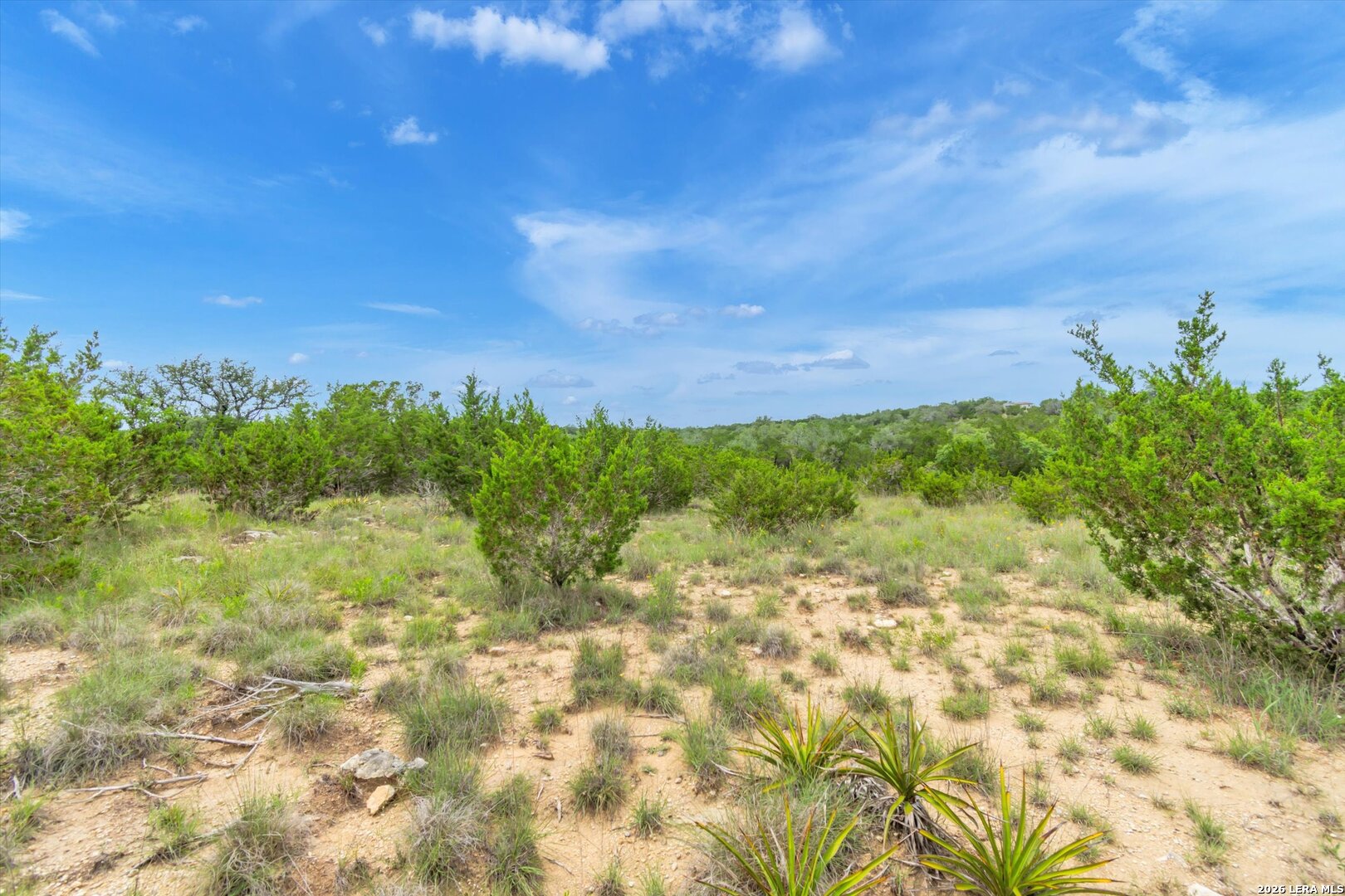 Lot 124 Legacy Hills Drive Johnson City TX 78636