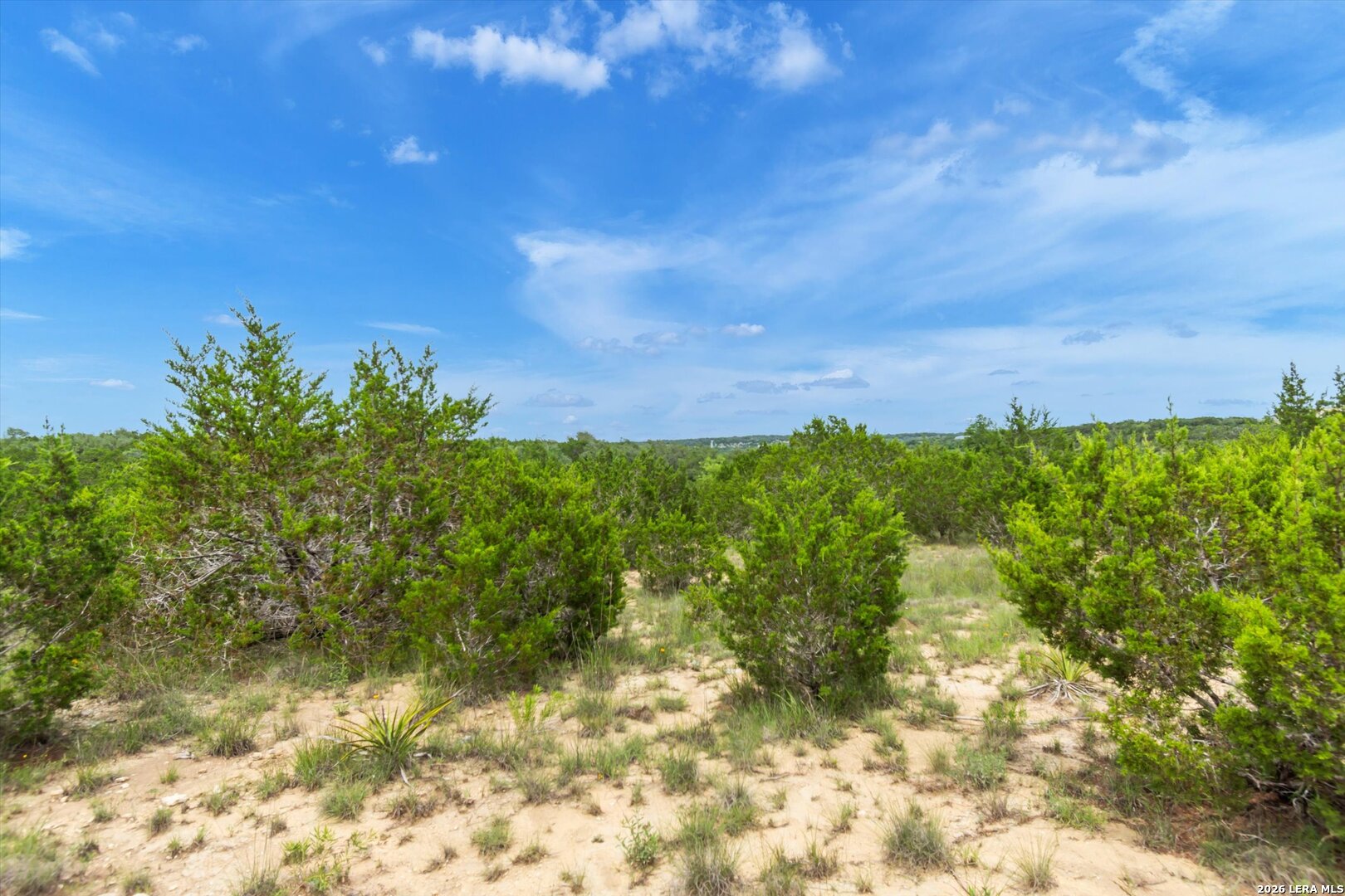 Lot 124 Legacy Hills Drive Johnson City TX 78636