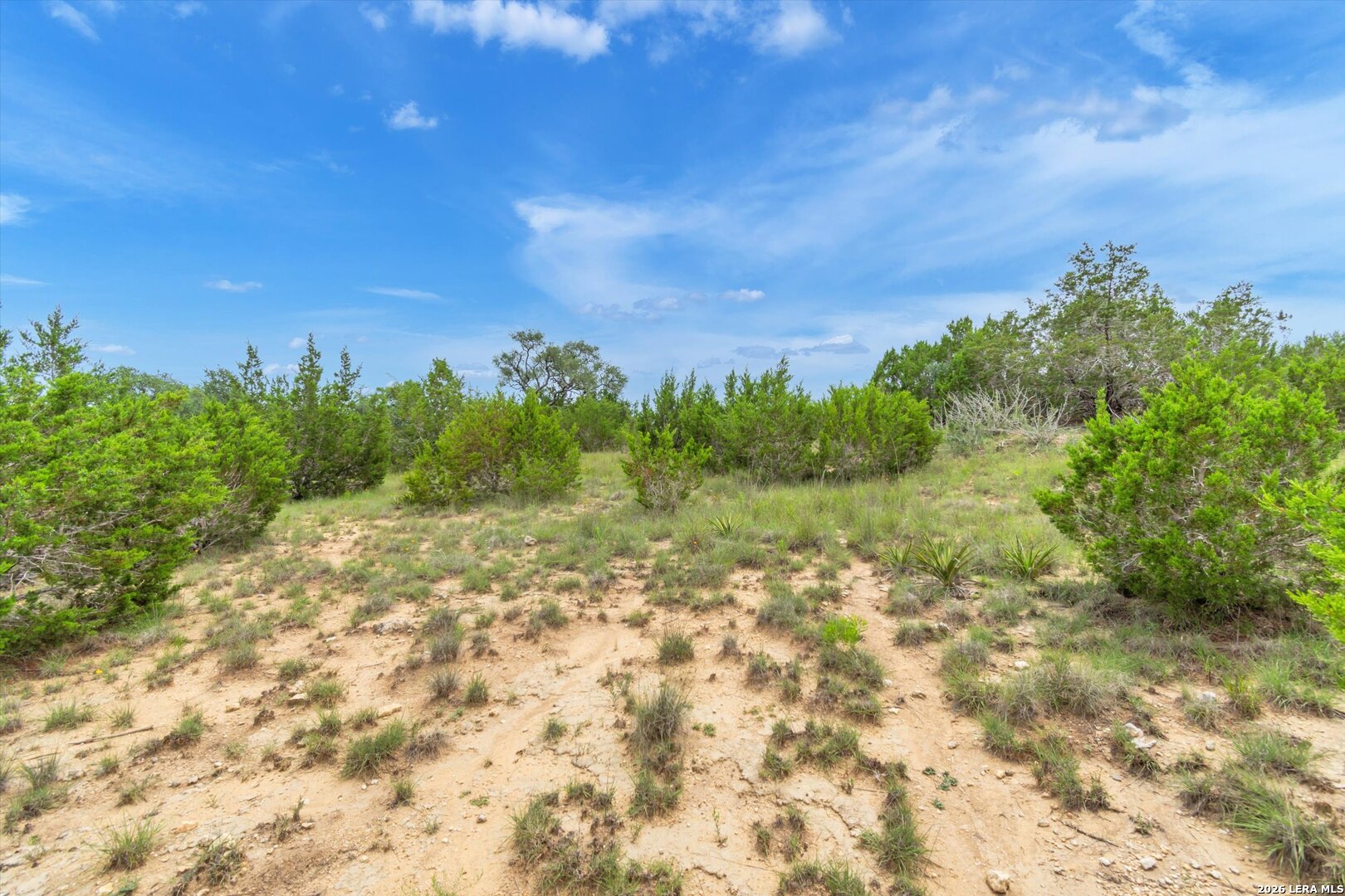 Lot 124 Legacy Hills Drive Johnson City TX 78636