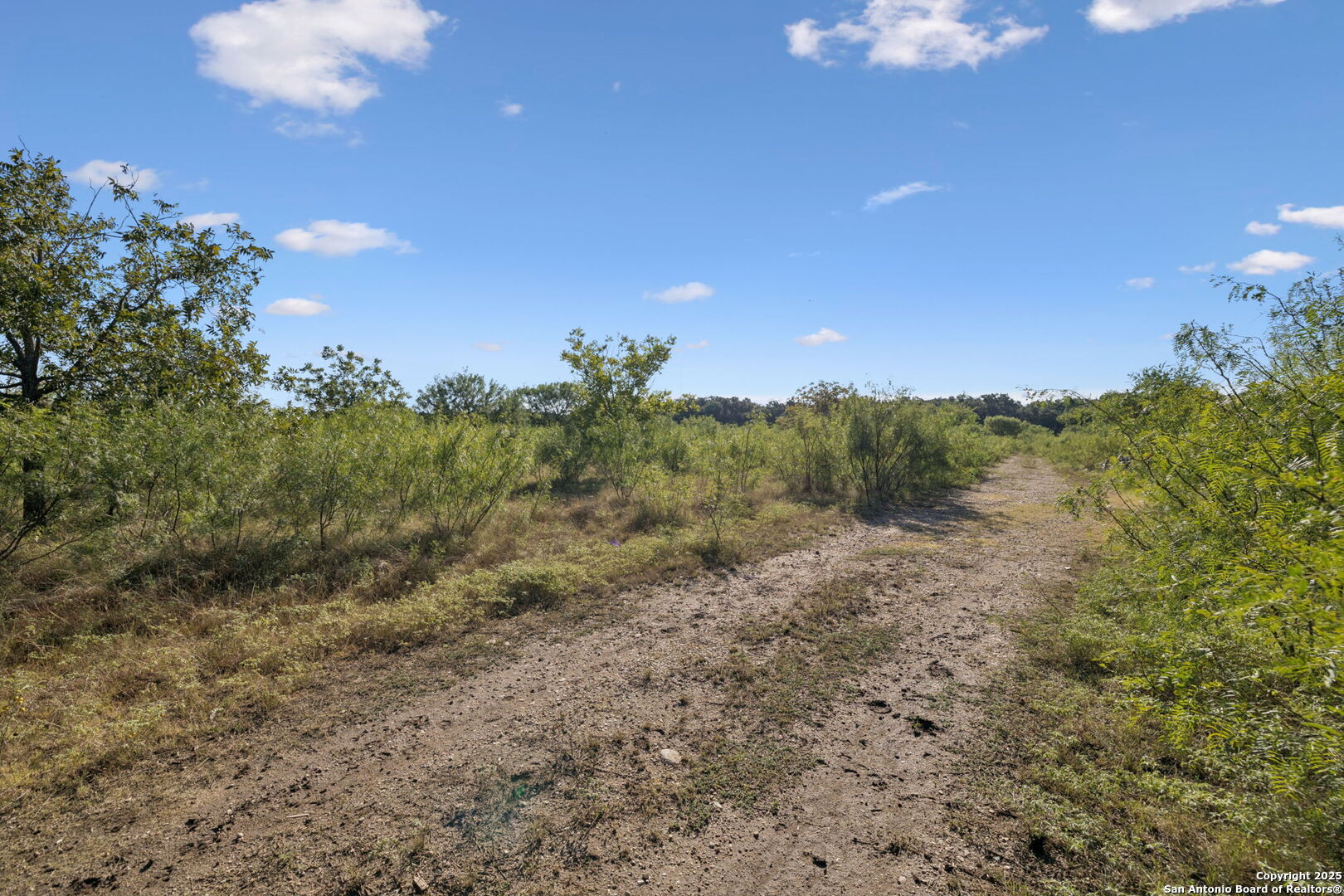 13146 Galm Road San Antonio TX 78254