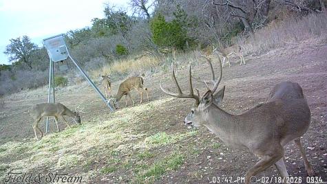 000 Rm 1221 London TX 76854