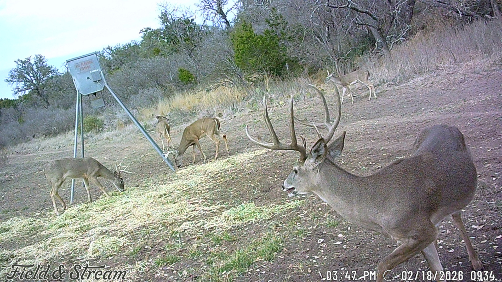 000 Rm 1221 London TX 76854