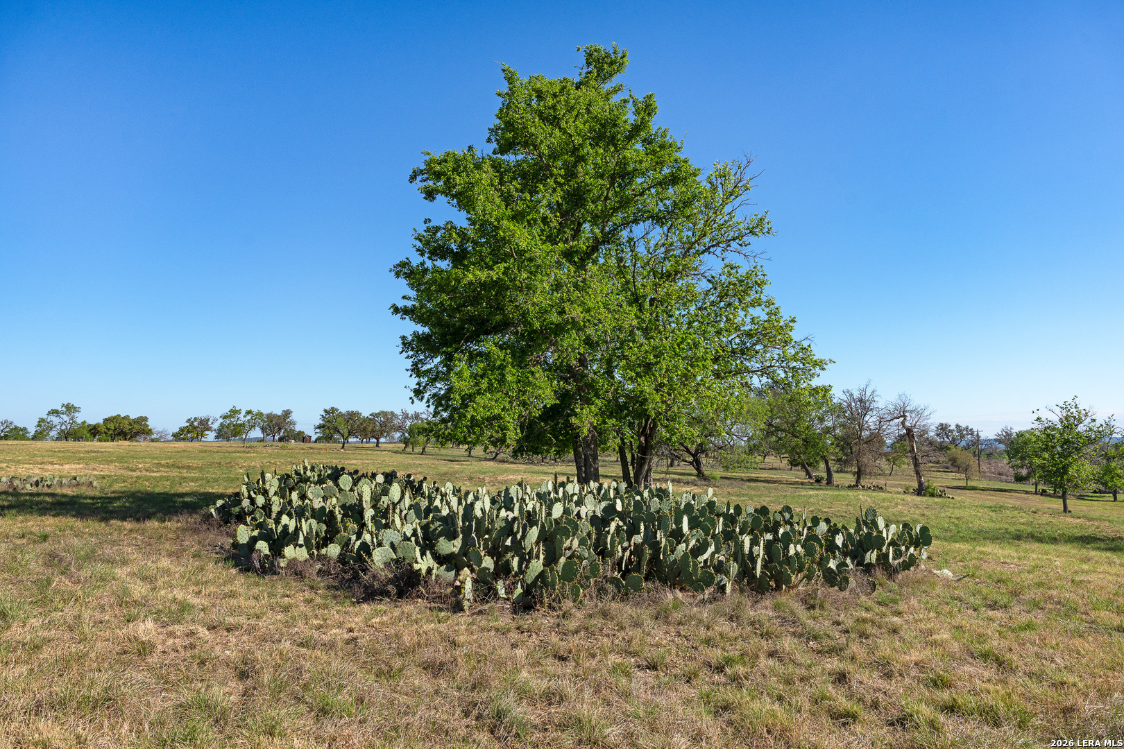0017 Clearwater Comfort TX 78013