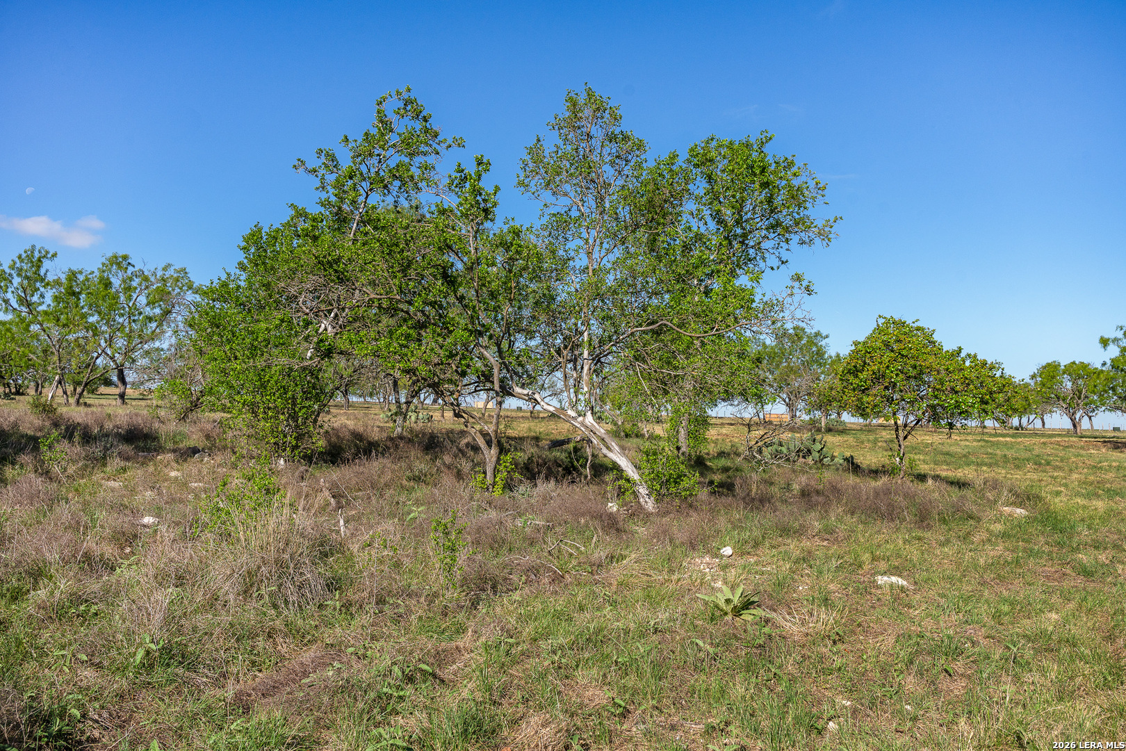 0017 Clearwater Comfort TX 78013