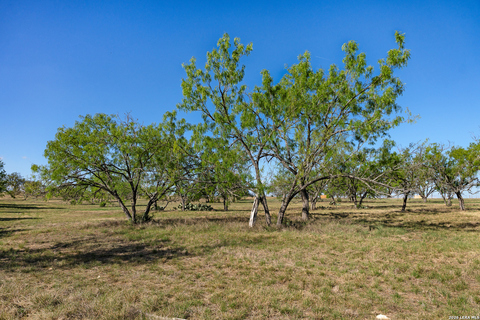 0017 Clearwater Comfort TX 78013