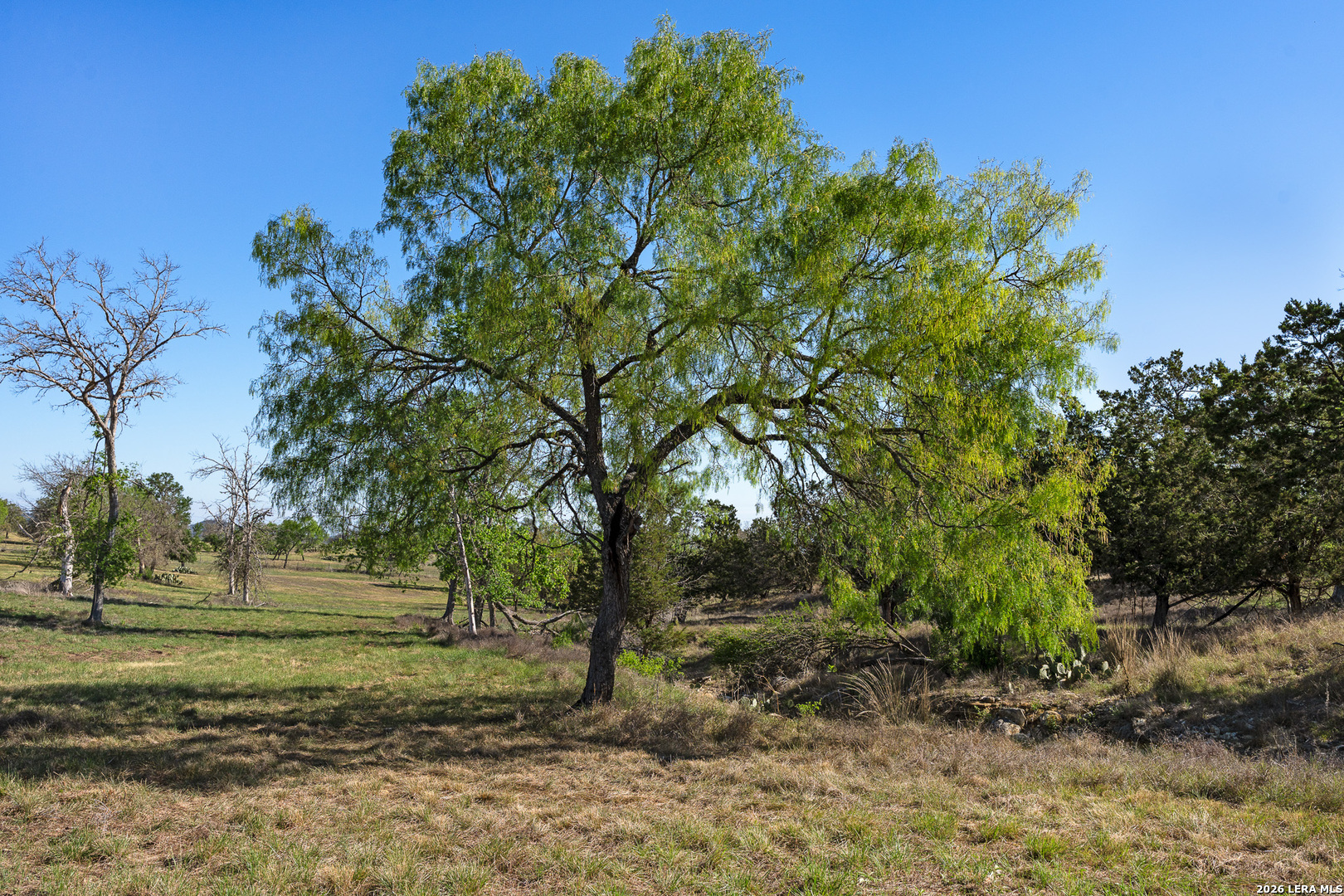 0017 Clearwater Comfort TX 78013