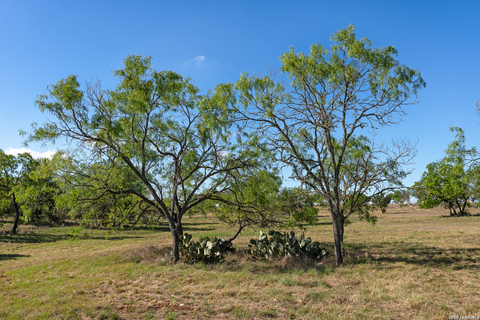 0017 Clearwater Comfort TX 78013