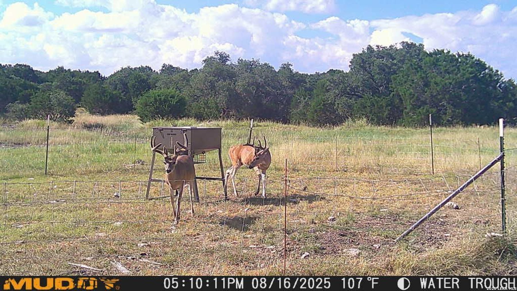 1985-1 Kc 443 Harper TX 78631