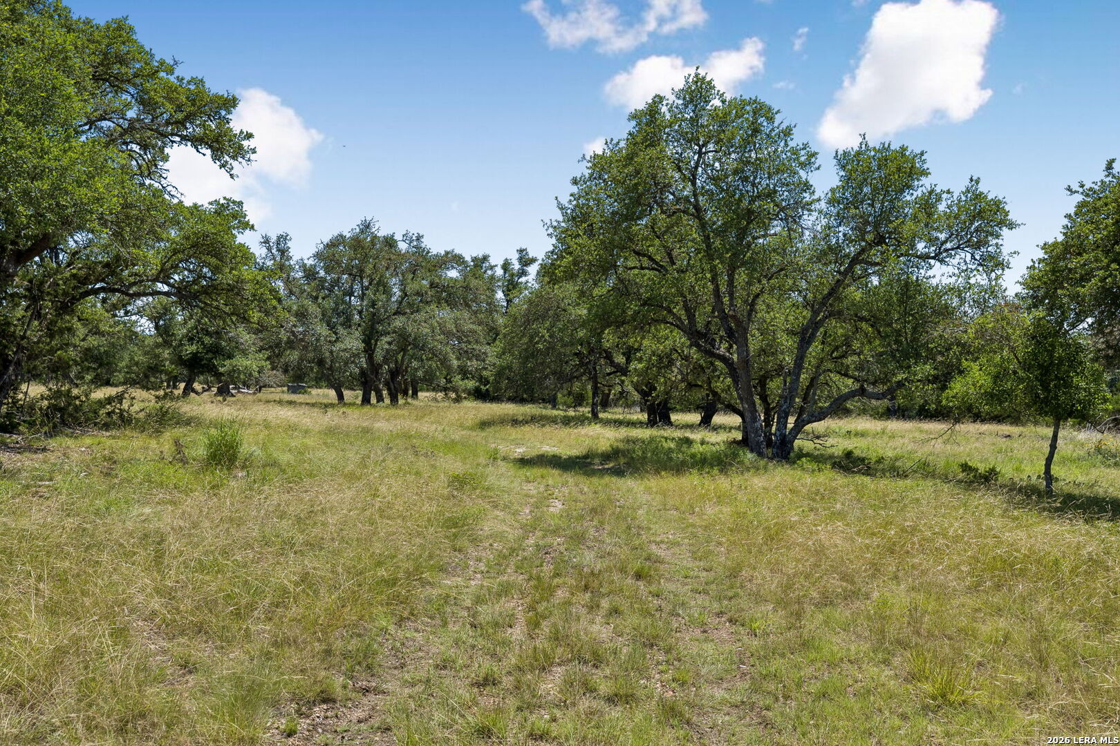 230 Old Roeder Road NW Harper TX 78631