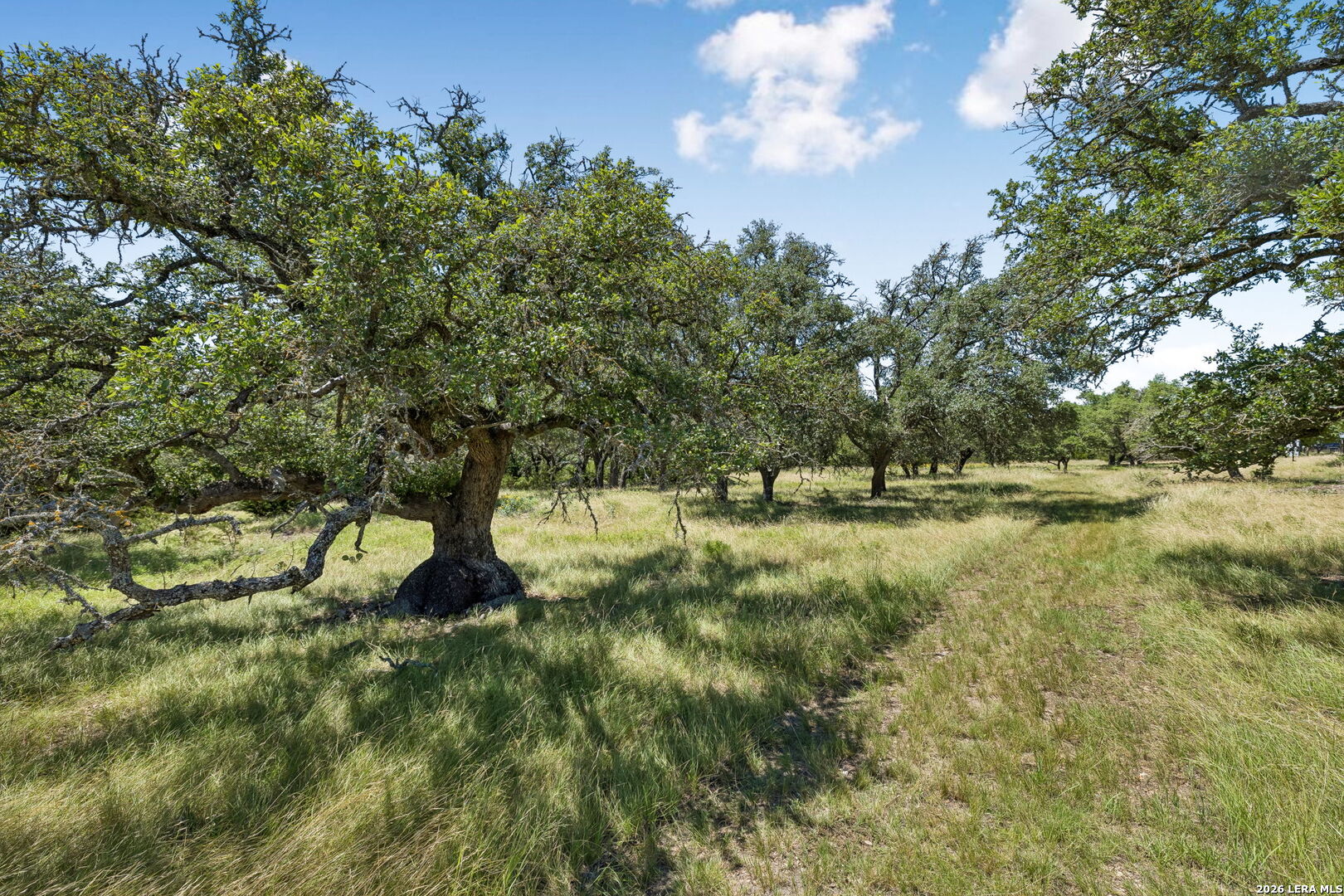 230 Old Roeder Road NW Harper TX 78631