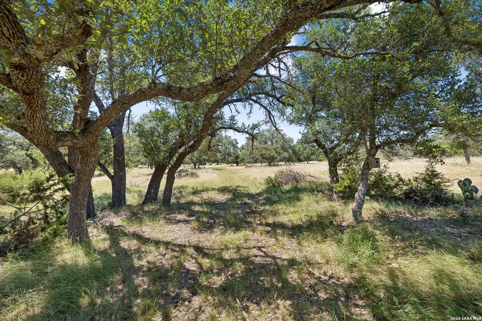 230 Old Roeder Road NW Harper TX 78631