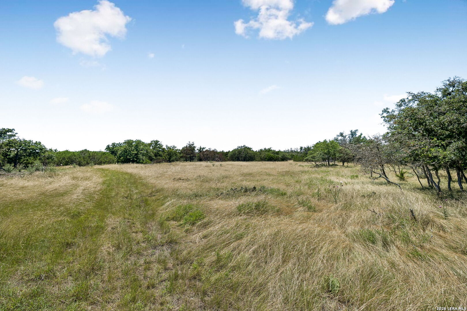 230 Old Roeder Road NW Harper TX 78631