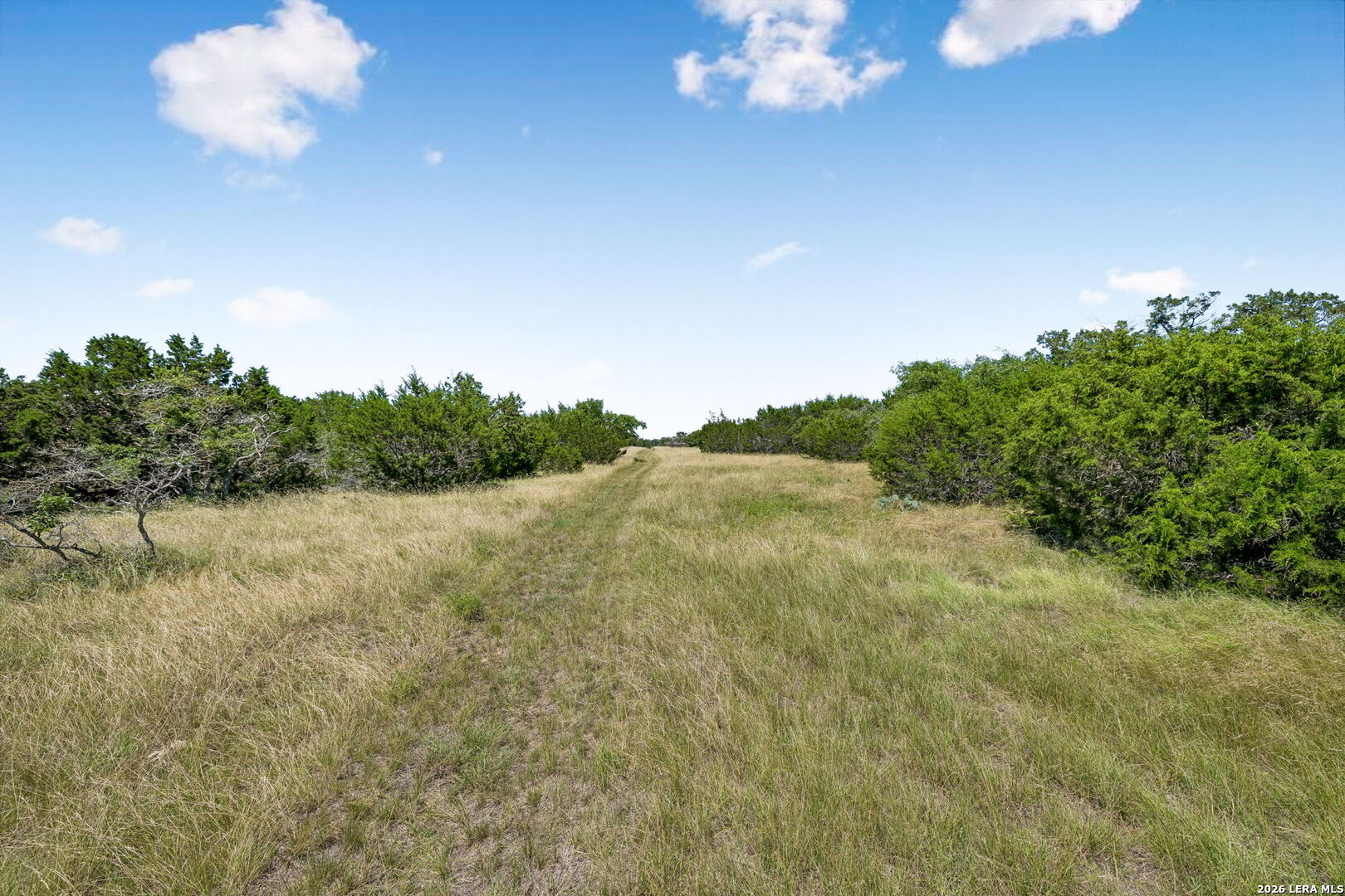 230 Old Roeder Road NW Harper TX 78631