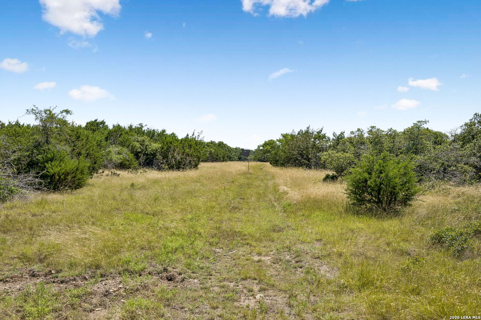 230 Old Roeder Road NW Harper TX 78631