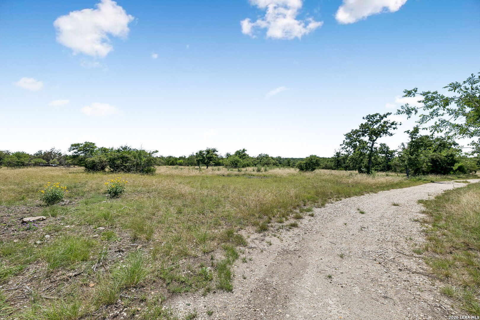 230 Old Roeder Road NW Harper TX 78631