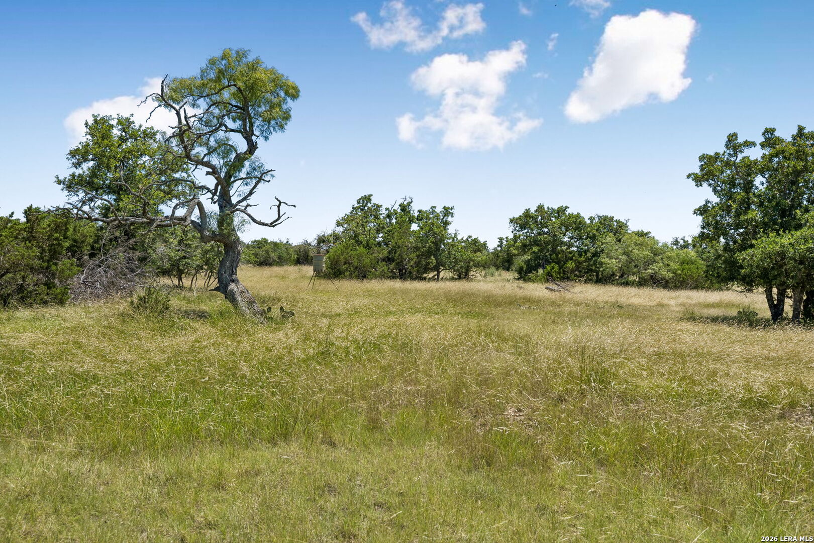 230 Old Roeder Road NW Harper TX 78631