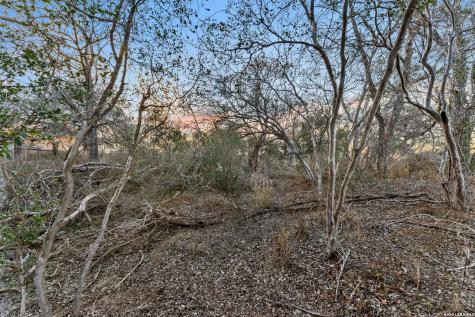 561 Barth Poteet TX 78065
