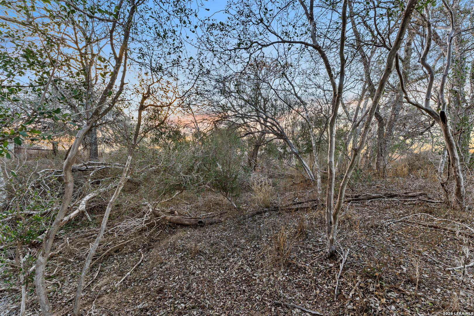 561 Barth Poteet TX 78065
