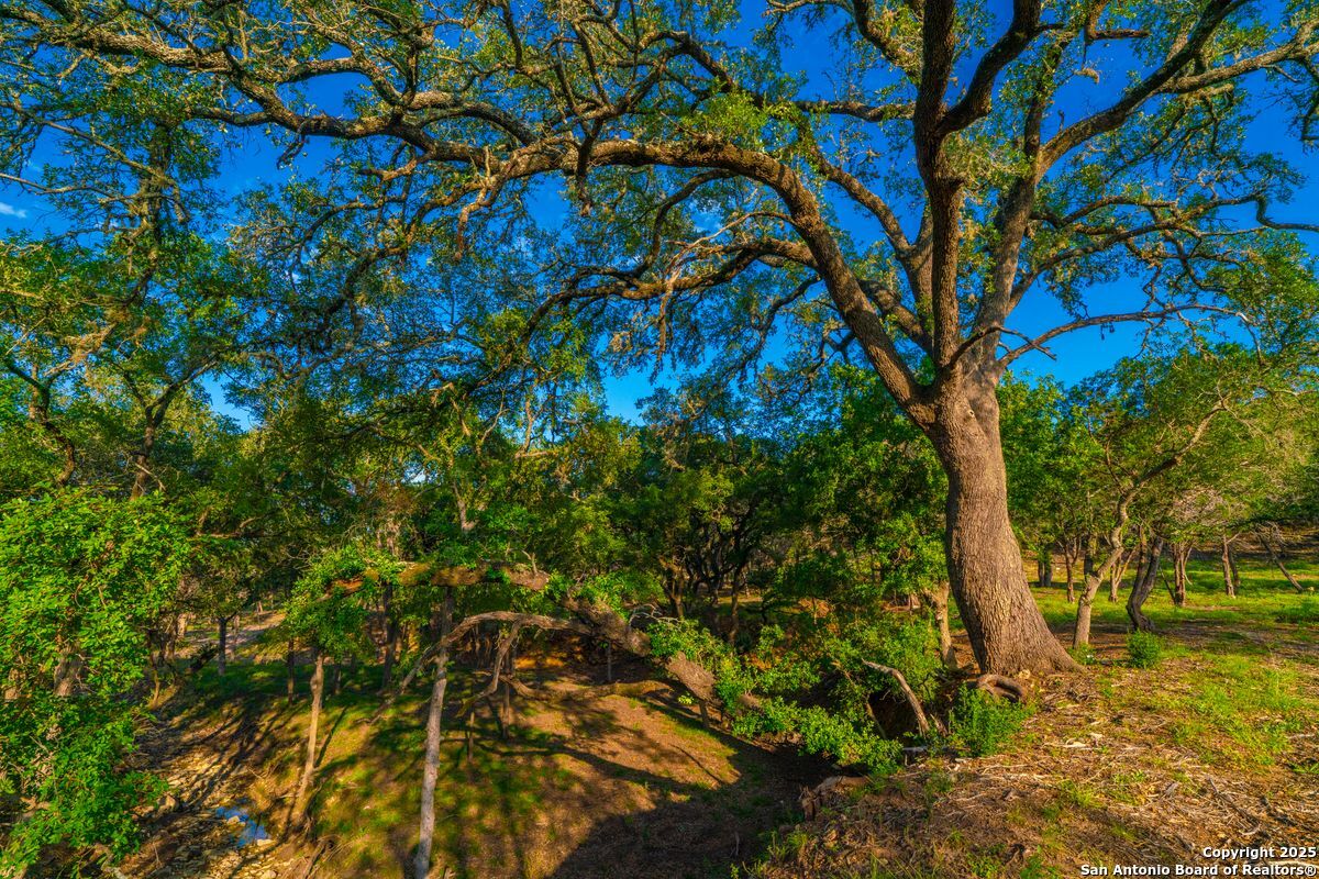 116 Majestic Oaks Drive Boerne TX 78006