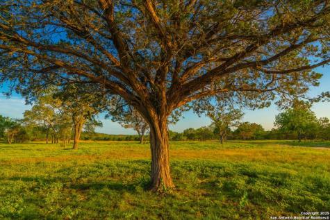 116 Majestic Oaks Drive Boerne TX 78006