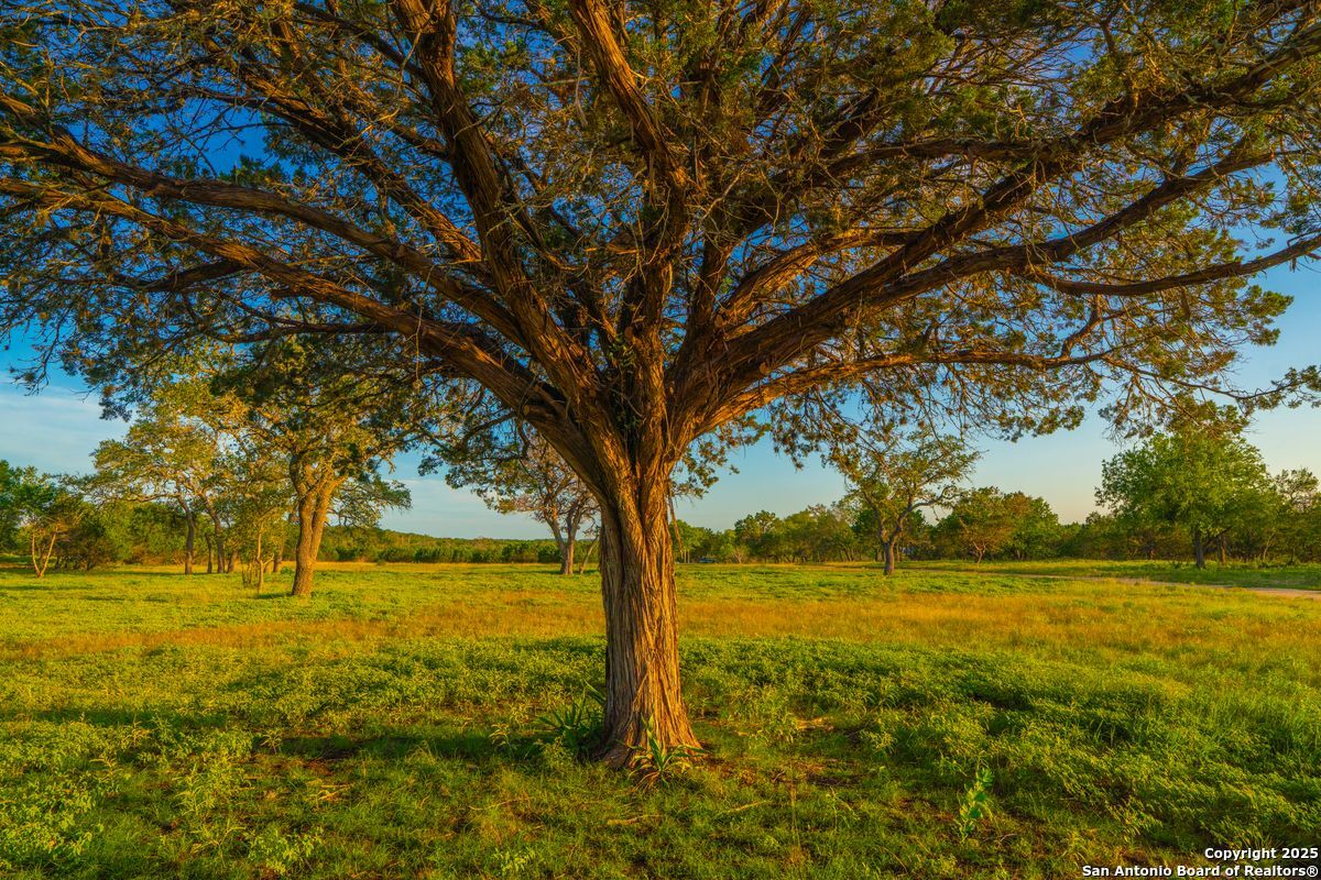 116 Majestic Oaks Drive Boerne TX 78006